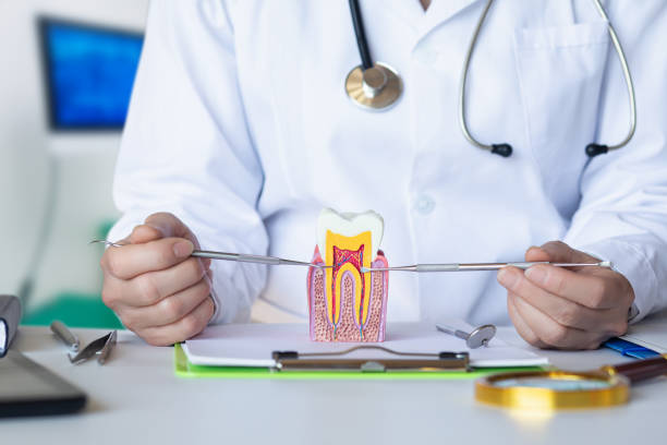 Best Root Canal Emergency Dentist  in Lavalette, WV